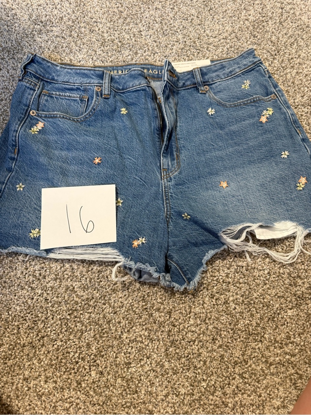 American Eagle Outfitters Blue Denim Embroidered Daisy Shorts